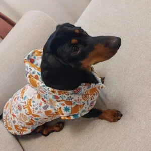 Állatmintás esőkabát