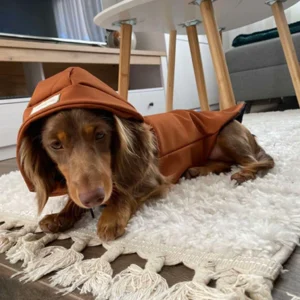 Egyszínű esőkabát