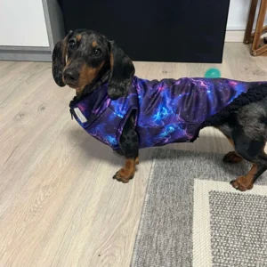 Fantáziamintás téli kutyakabát