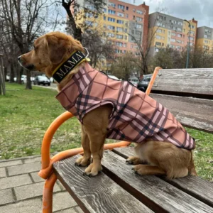 Geometriai mintás esőkabát