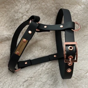 Strapabíró kutyahám, kutyapóráz és kutyanyakörv