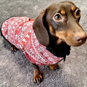 Karácsonyi télikabát