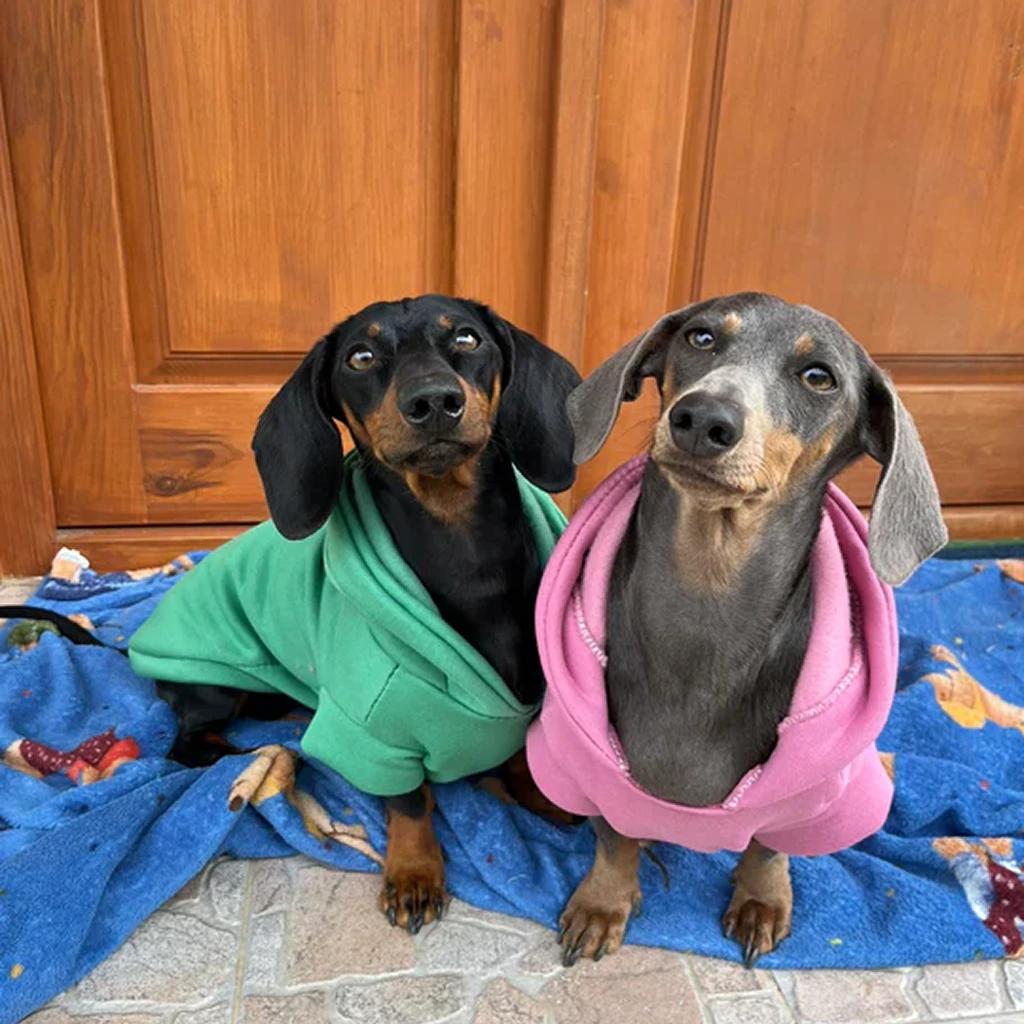 Lana és Balti strapabíró szabadidő pulóverben