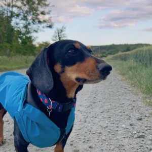 Tavaszi nyári esőkabát